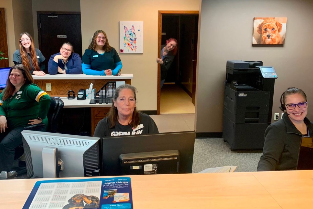 Veterinarian in Green Bay, WI 54311 Bay East Animal Hospital